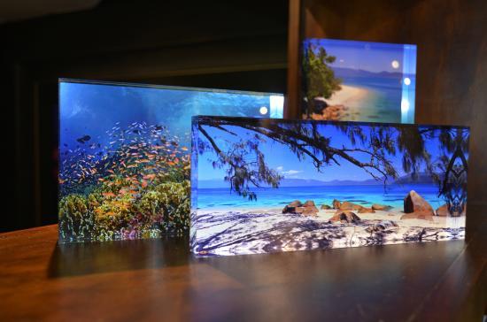 Michael Seebeck Gallery